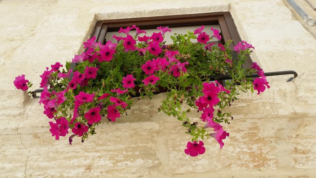 Borgo Antico Apartment Monopoli Exterior photo